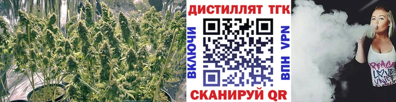 Дистиллят ТГК THC oil  сколько стоит  Игра 